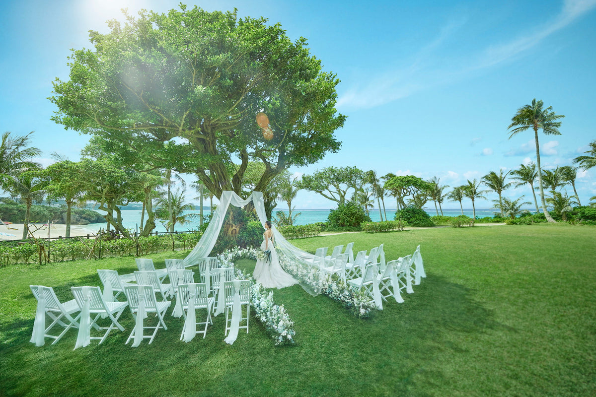  目の前にある「ガジュマルの木」は、沖縄では昔から“幸せを呼ぶ木”として愛されています。