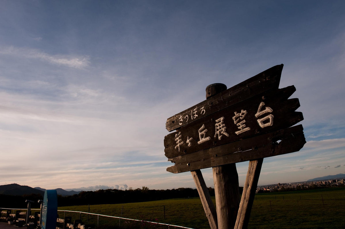 【10月16:30頃
