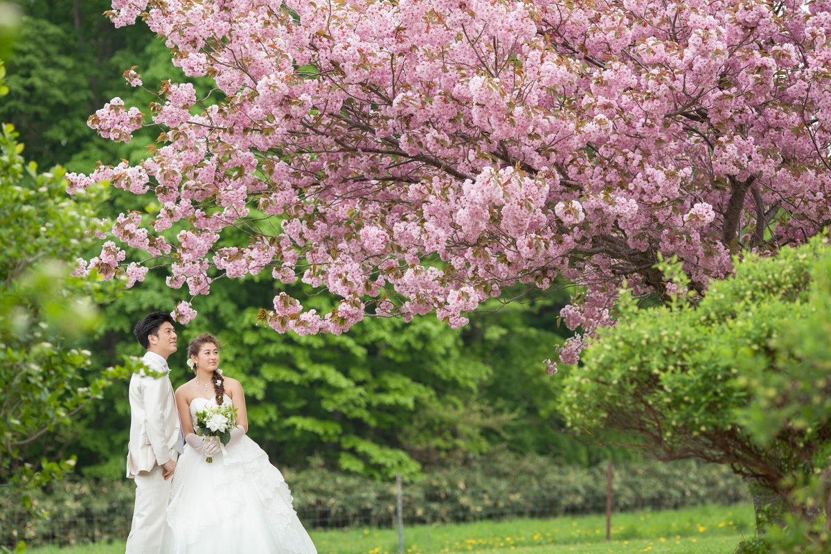 桜の見頃は例年5月中旬頃です♪
