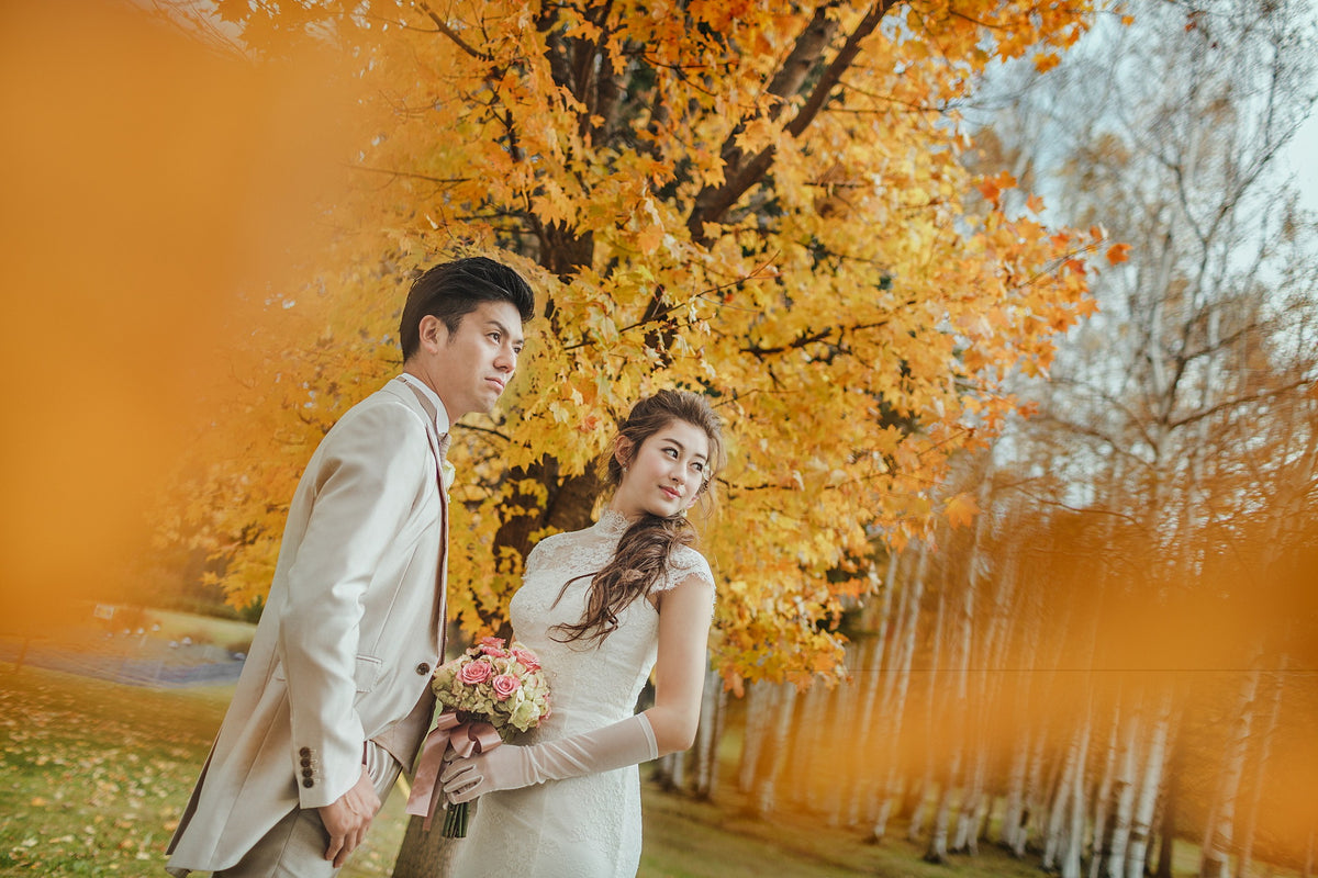 紅葉の見ごろは例年10月中旬~後半です