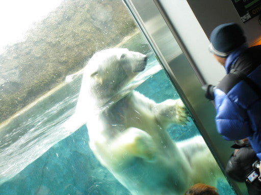 旭山動物園【7月】